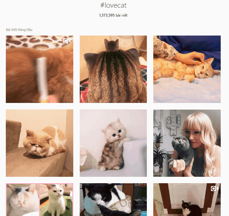 hashtags instagram