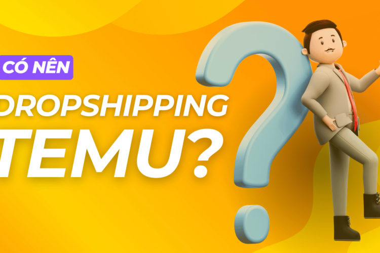 dropshipping temu