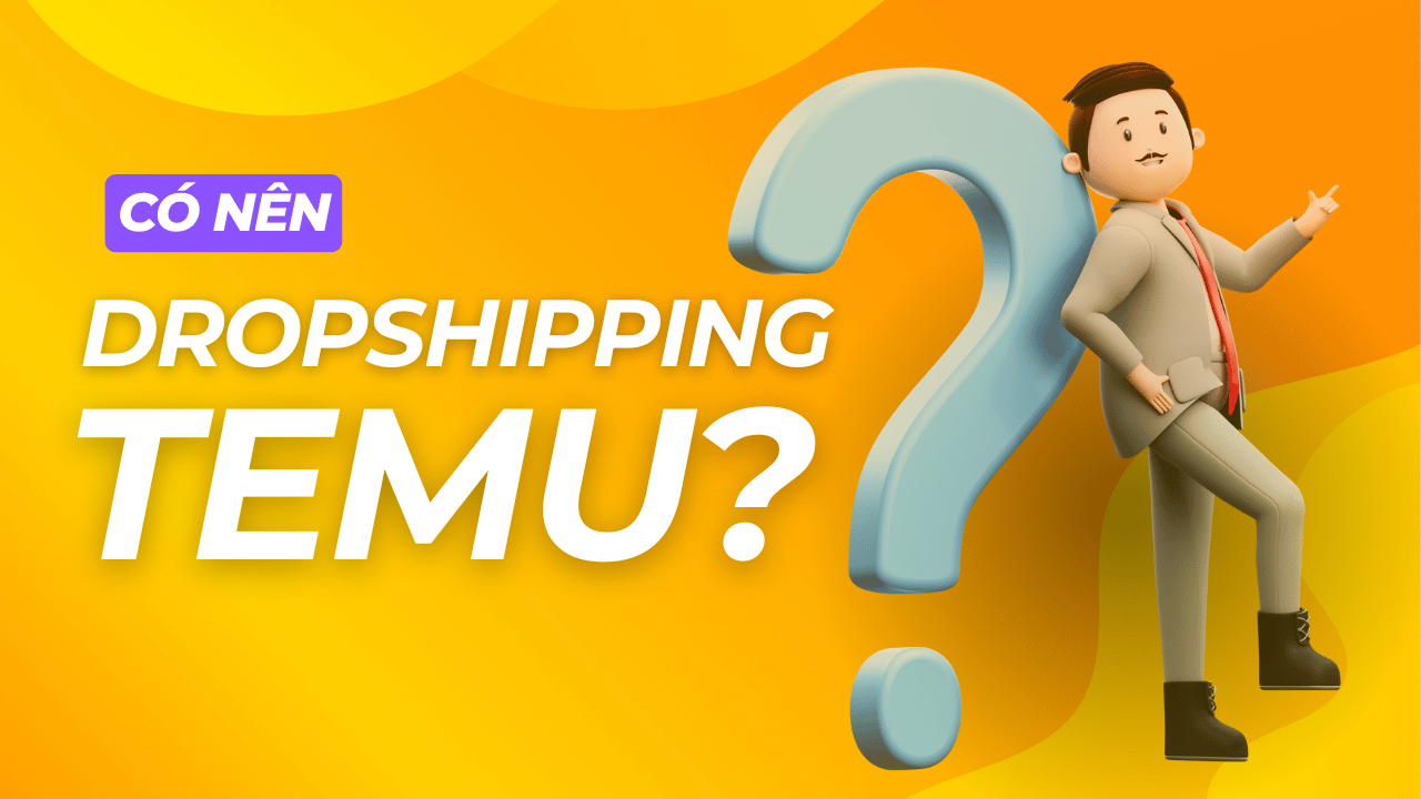 dropshipping temu