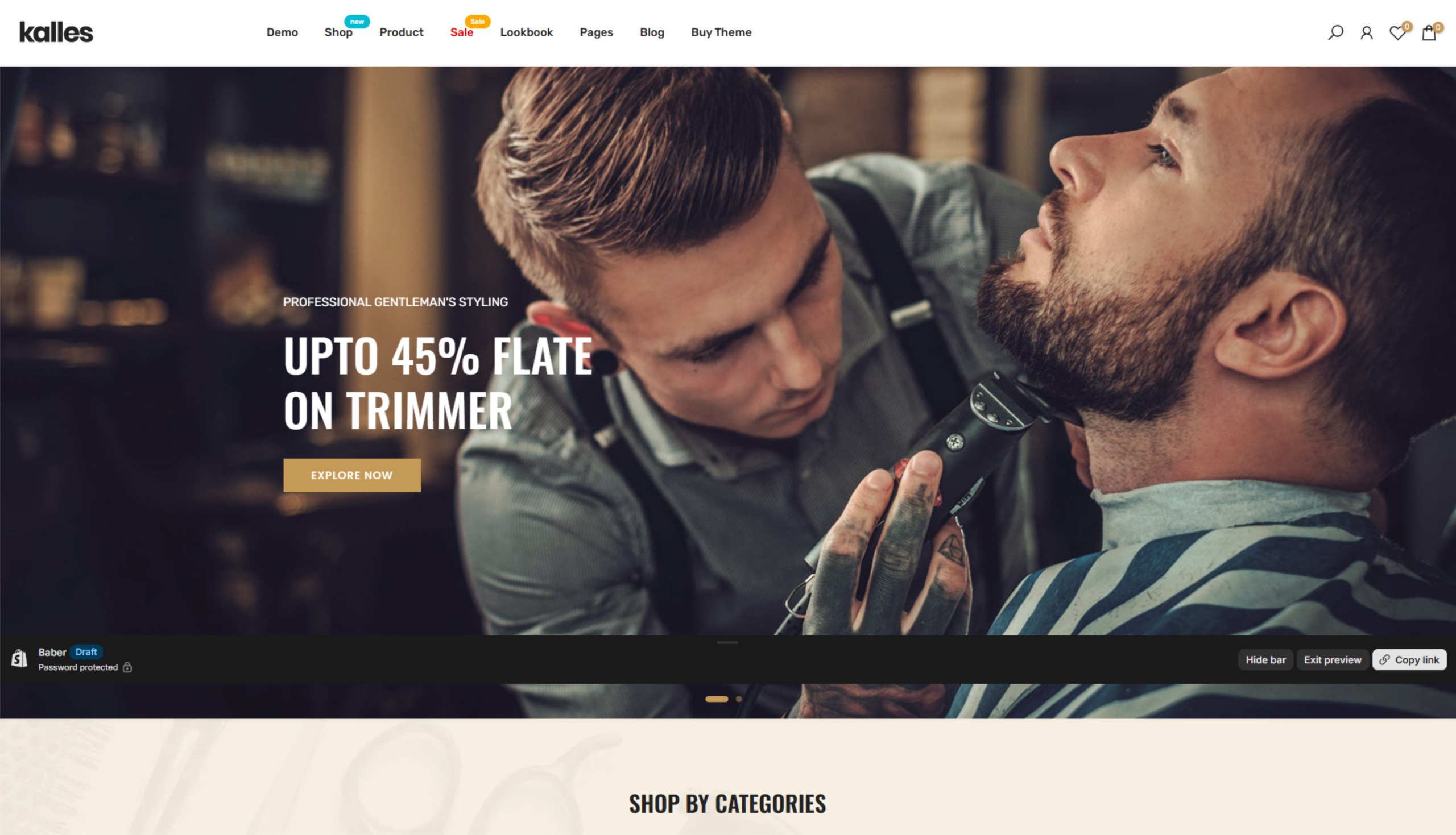 demo shopify 2 scaled