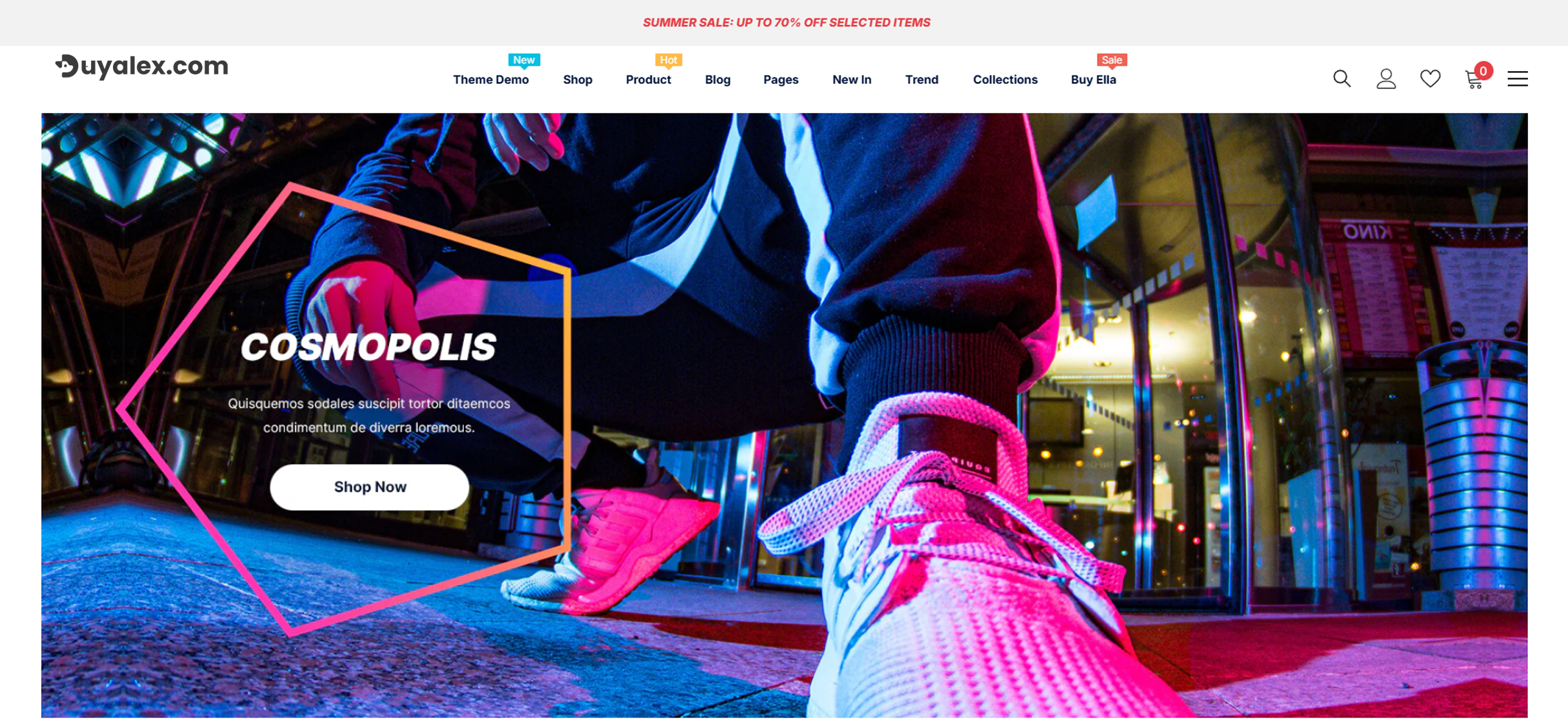 shopify store 2 1