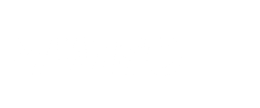 wise logo