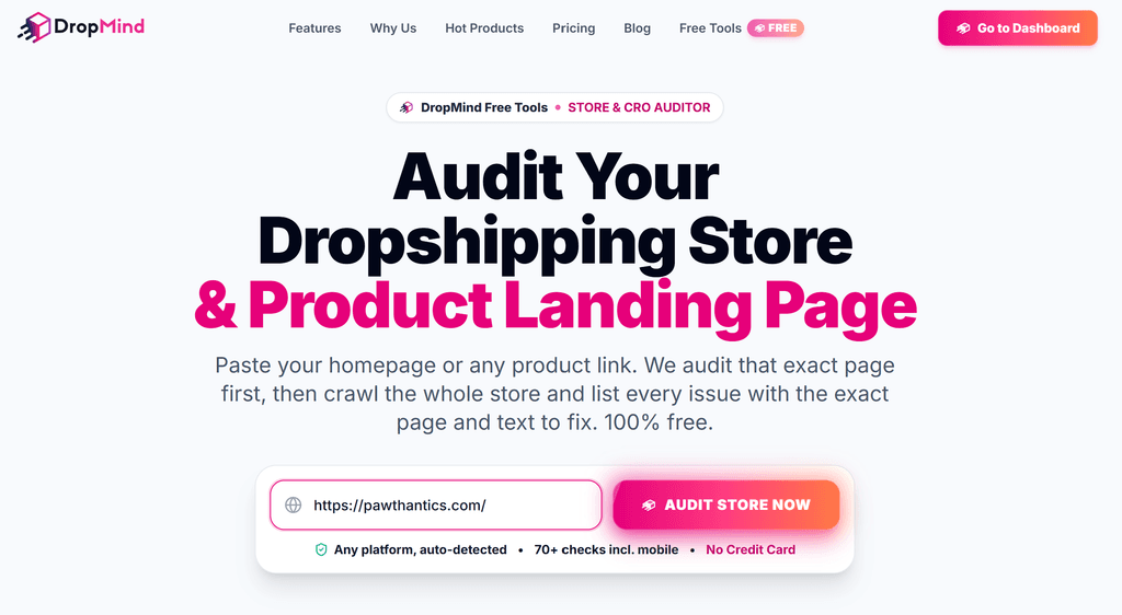 Nhập URL để kiểm tra cửa hàng online miễn phí bằng Store Auditor